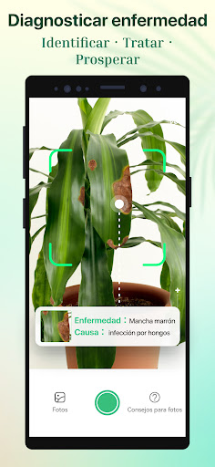 Captura de pantalla de Plant Parent - Guía de cuidado