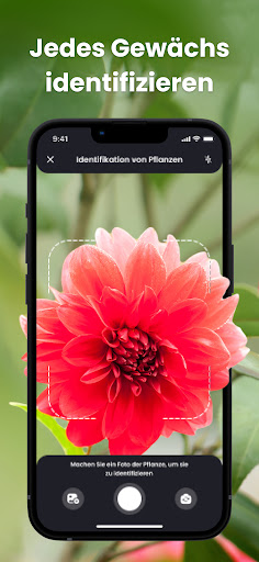 PlantIn - Pflanzen erkennen Screenshot