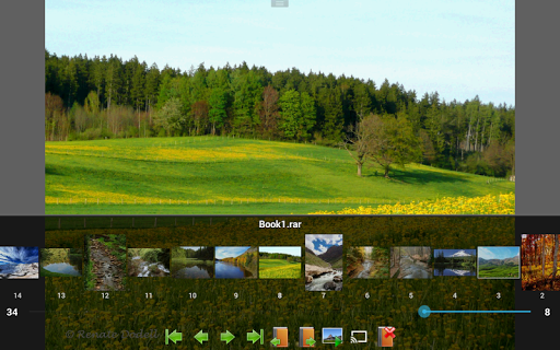 Captura de pantalla de Perfect Viewer PDF&DJVU Plugin