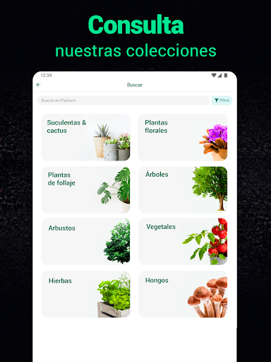 Captura de pantalla de Plantum - Identificar plantas