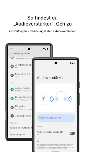 Audioverstärker Screenshot