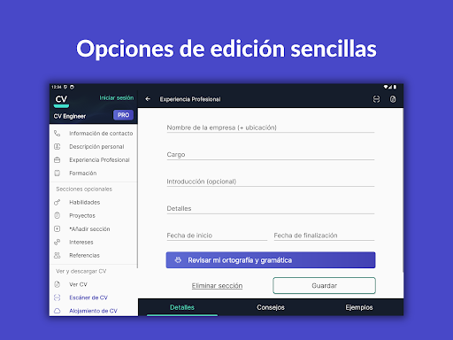 Captura de pantalla de Currículum Vítae - CV Engineer