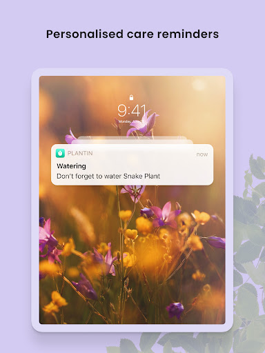 Captura de pantalla de PlantIn: Cuidado de plantas