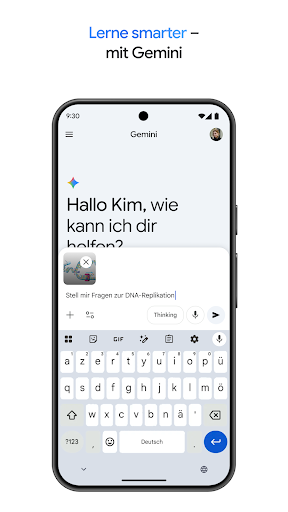 Google Gemini Screenshot