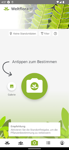 Pl@ntNet Pflanzenbestimmung Screenshot