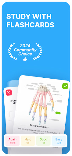 Noji – Flashcards study app screenshot