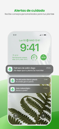 Captura de pantalla de PlantApp: Identifica plantas