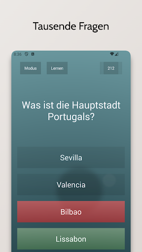 Endlos-Quiz Pro Screenshot