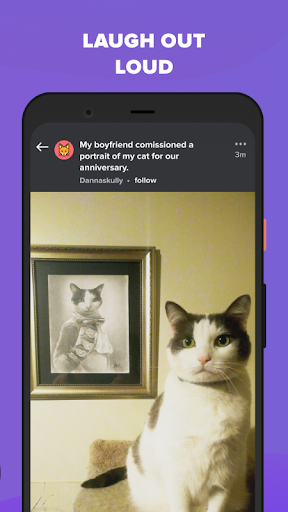 Captura de pantalla de Imgur: Funny Memes & GIF Maker