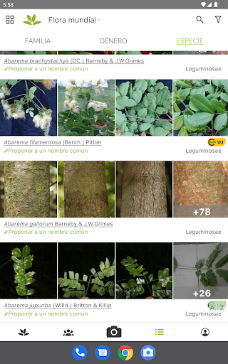 Captura de pantalla de PlantNet Identifica Plantas