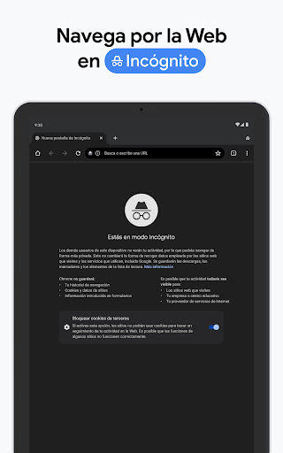 Captura de pantalla de Google Chrome