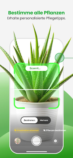 PlantApp – Pflanzenbestimmung Screenshot