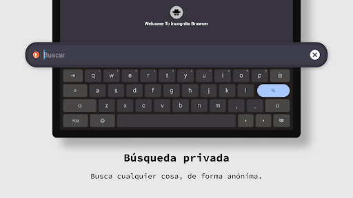Captura de pantalla de aplicación navegador privado