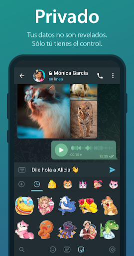 Captura de pantalla de Telegram