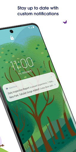 Captura de pantalla de Salesforce