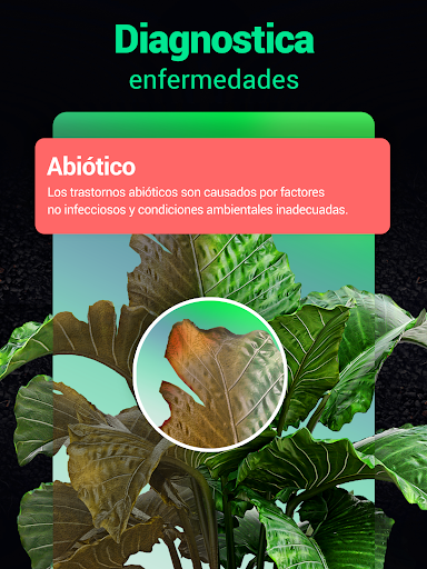 Captura de pantalla de Plantum - Identificar plantas