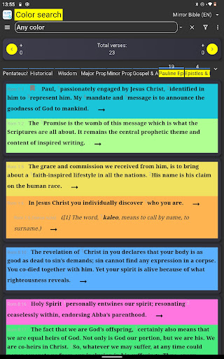 Mirror Study Bible screenshot