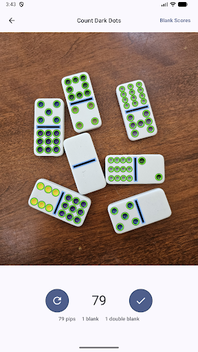 Domino Dot Counter screenshot