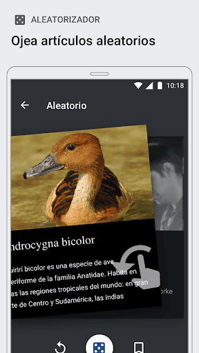 Captura de pantalla de Wikipedia