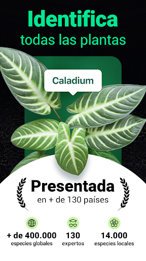 Captura de pantalla de Plantum - Identificar plantas