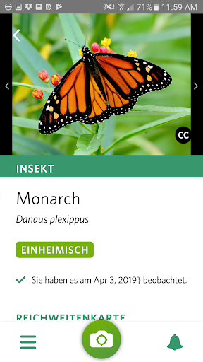 Seek von iNaturalist Screenshot