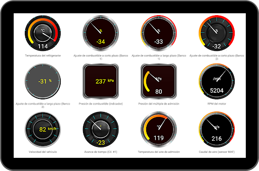 Captura de pantalla de Diagnóstico Tor OBD2