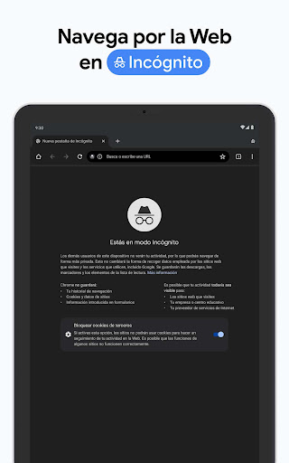 Captura de pantalla de Google Chrome