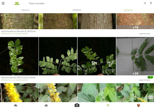 Captura de pantalla de PlantNet Identifica Plantas