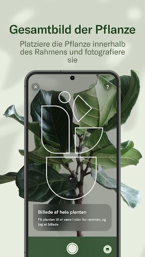 Planta - dein Pflanzen-Experte Screenshot