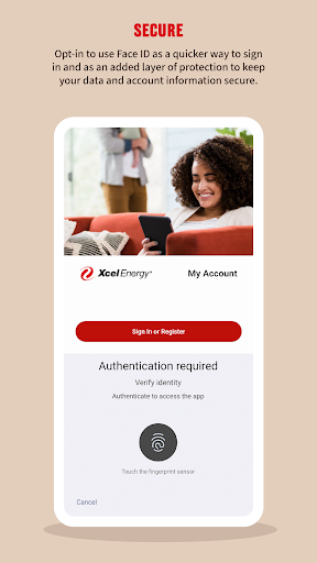 Xcel Energy screenshot