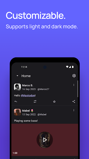 Captura de pantalla de Mastodon