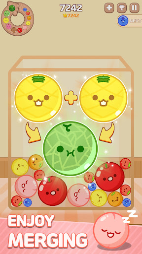 Captura de pantalla de Melon Maker : Fruit Game