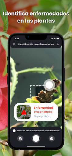 Captura de pantalla de PlantIn: Cuidado de plantas