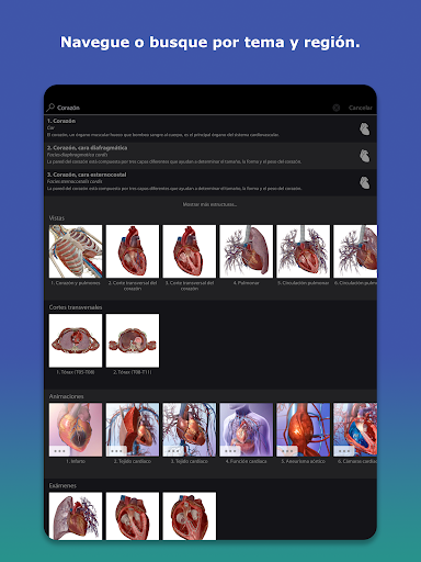 Captura de pantalla de Atlas de anatomía humana 2026