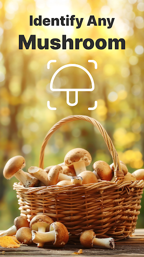 Mushroom Identification screenshot