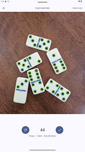 Domino Dot Counter screenshot