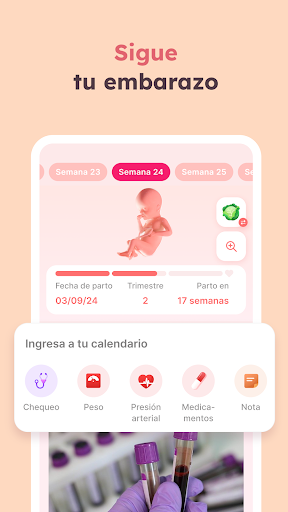 Captura de pantalla de Calendario de embarazo - Momly