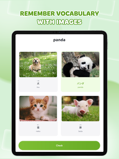 Learn Japanese: HeyJapan screenshot