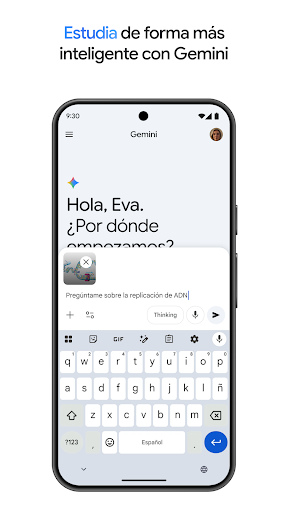 Captura de pantalla de Google Gemini