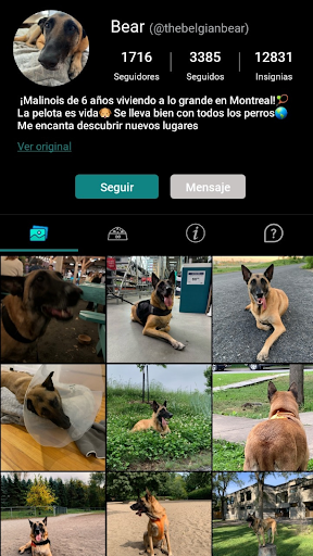 Captura de pantalla de DogPack: Parques, perros y más