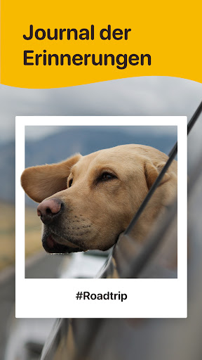 Woofz - Smartes Hundetraining Screenshot