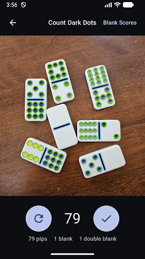 Domino Dot Counter screenshot