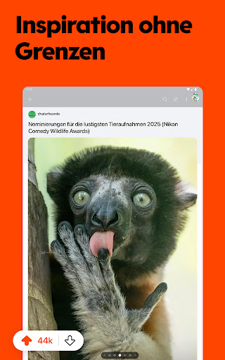 Reddit Screenshot