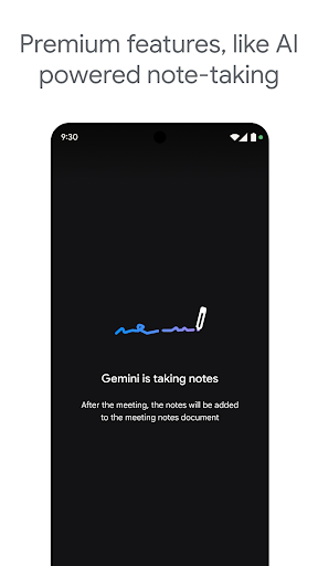Google Meet screenshot