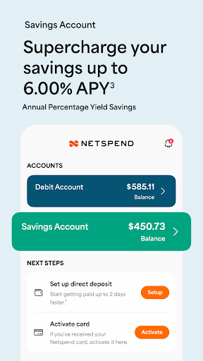 Captura de pantalla de Netspend