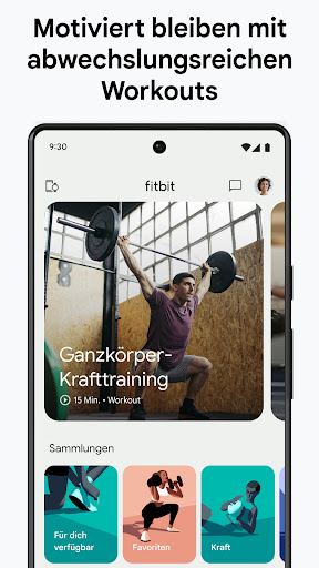 Fitbit Screenshot