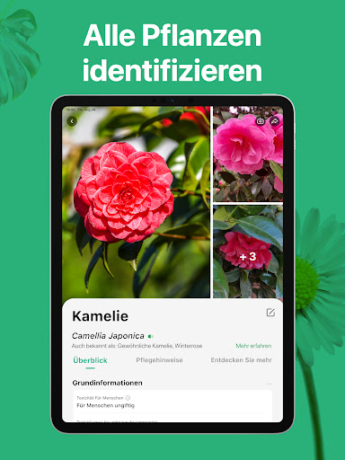 PictureThis:Pflanzen bestimmen Screenshot