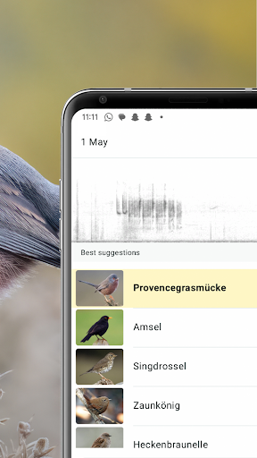 Merlin Bird ID von Cornell Lab Screenshot
