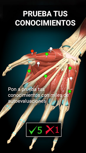Captura de pantalla de Anatomy Learning - Anatomía 3D