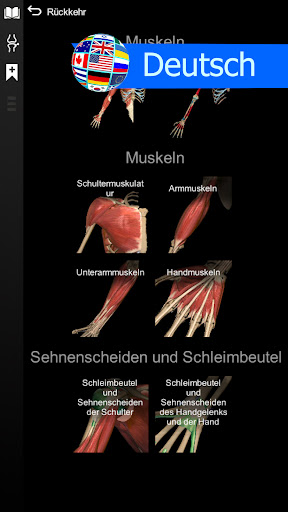 3D-Anatomie - Anatomy Learning Screenshot